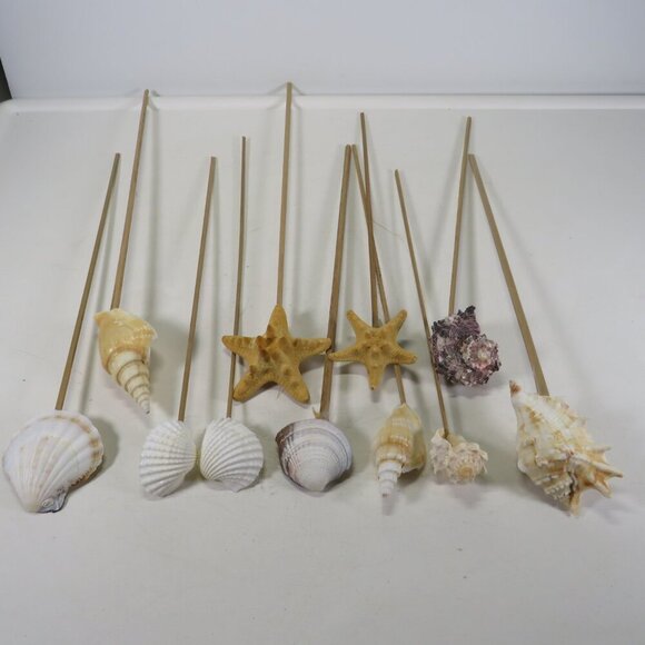 REAL seashells on wooden picks for flower arrangements 10-12" long - Picture 2 of 8